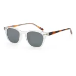 Sunglasses TH3060 C6